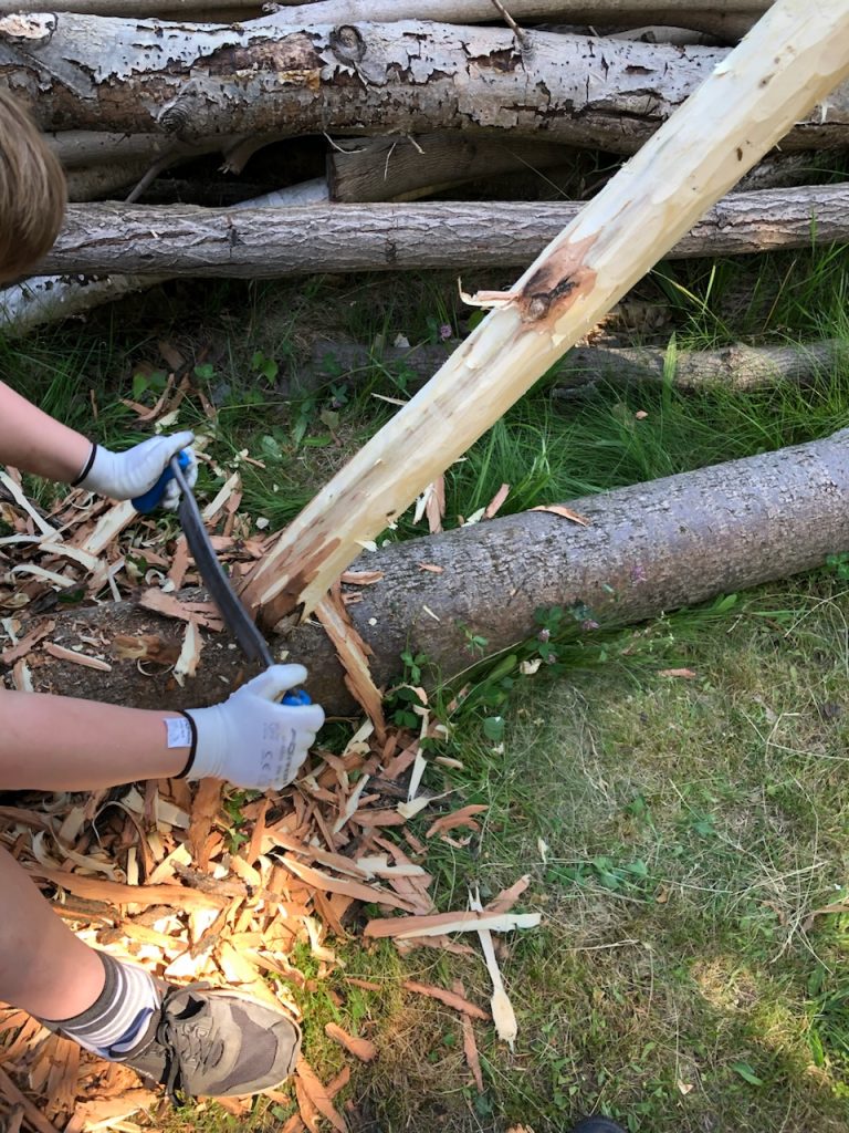 Entrinden Mittelalter