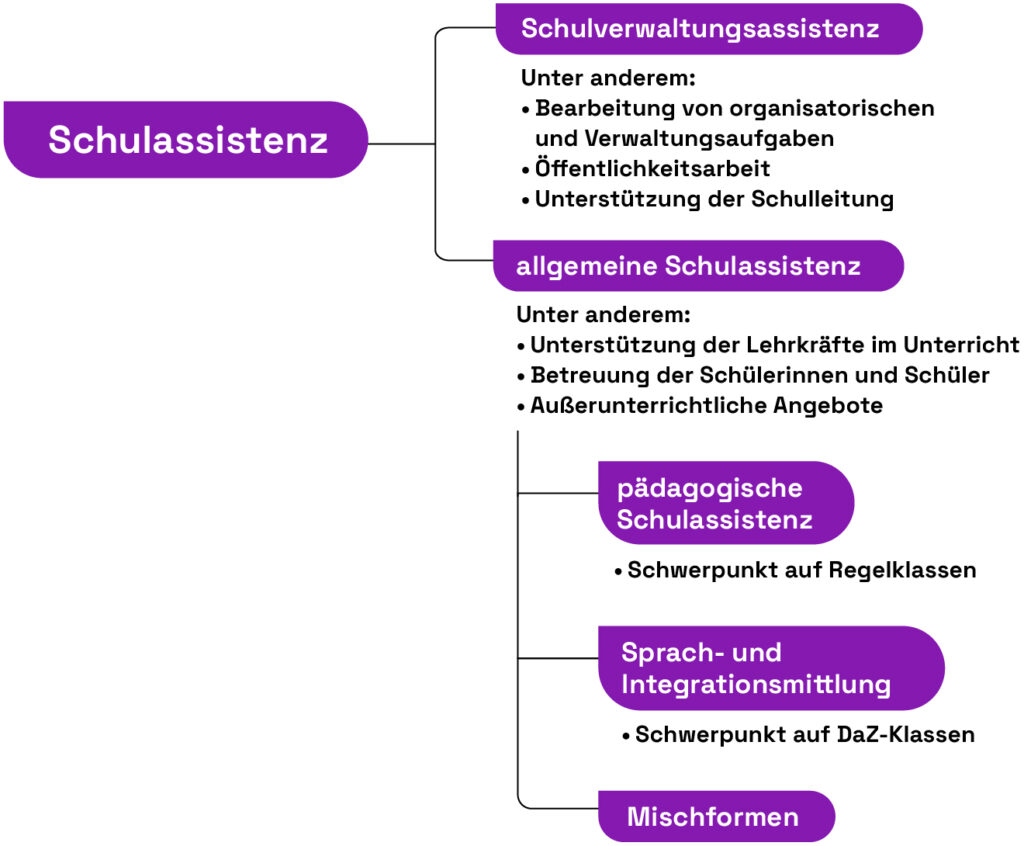 Diagramm zur Schulassistenz in Sachsen mit verschiedenen Assistenzarten und Schwerpunkten.