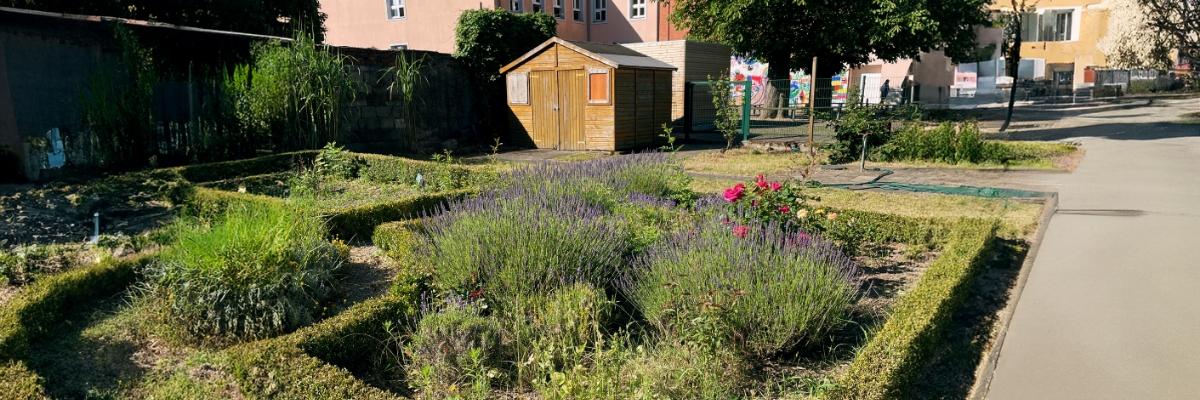Garten mit einem Holzschuppen und verschiedenen Blumenbeeten, darunter Lavendel und Rosen.