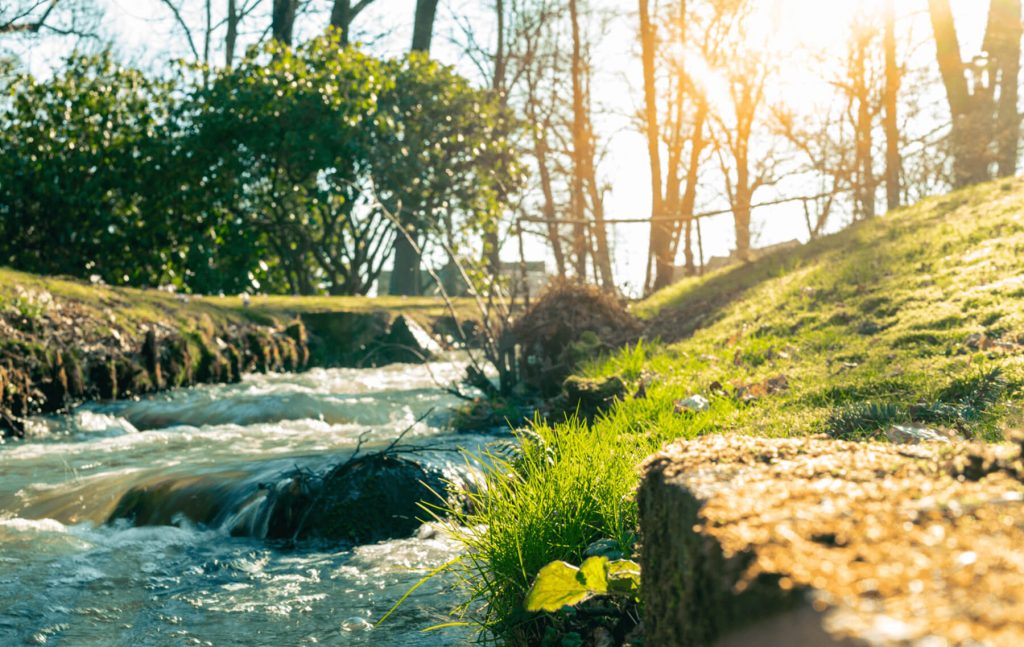 Ein Bach mit fließendem Wasser, umgeben von Gras und Bäumen im Sonnenlicht.